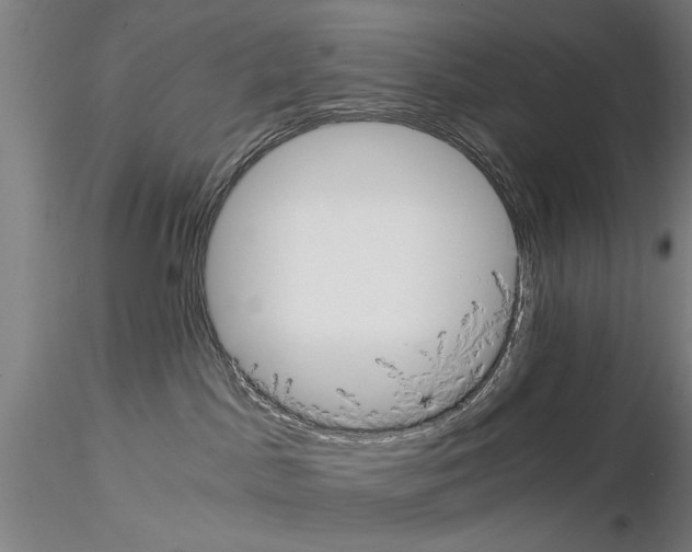 X0000114640045200912011059