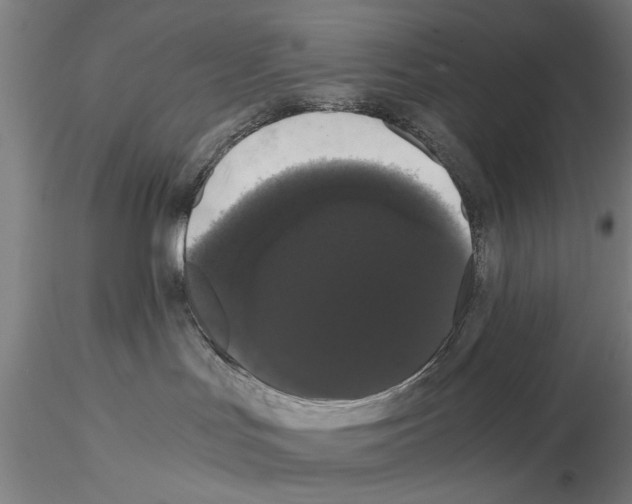 X0000114640047200912011059