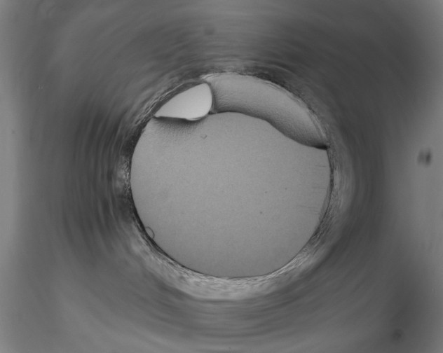 X0000114640048200912011059