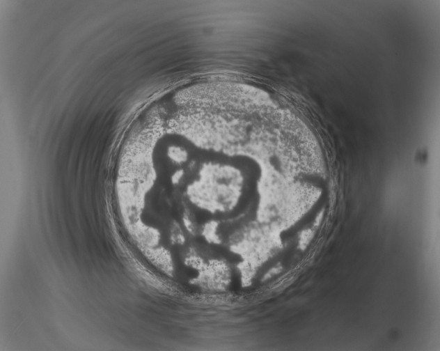 X0000114640049200912011058