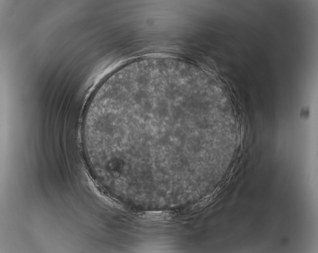 X0000114640050200912011058