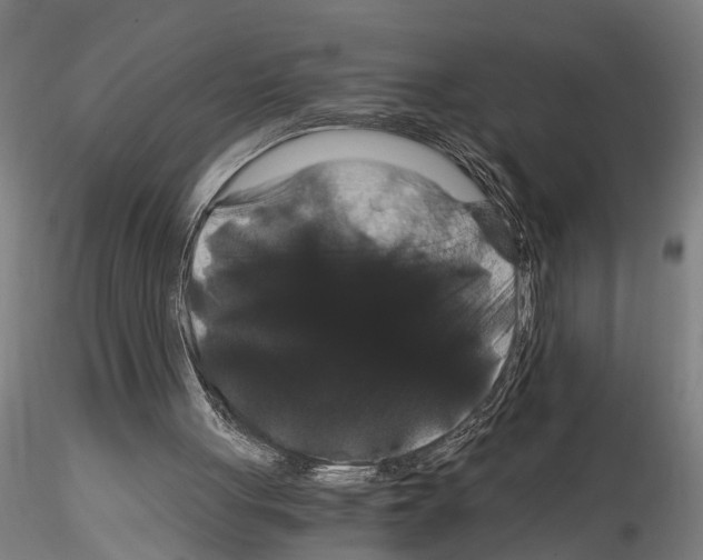 X0000114640051200912011058