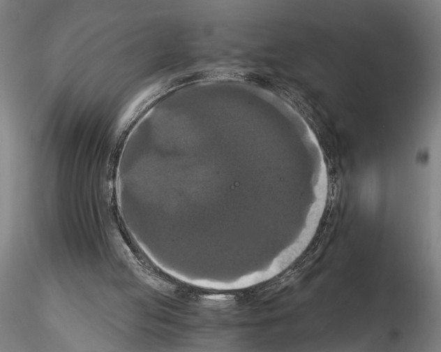 X0000114640053200912011058