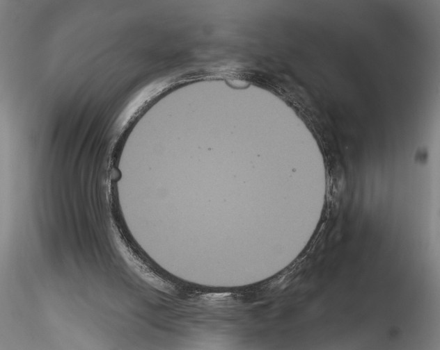 X0000114640054200912011058