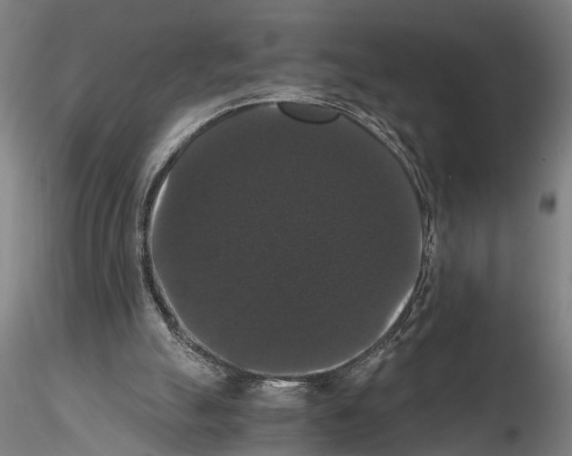 X0000114640055200912011058