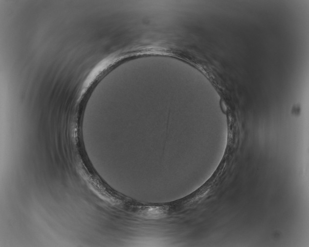 X0000114640056200912011058