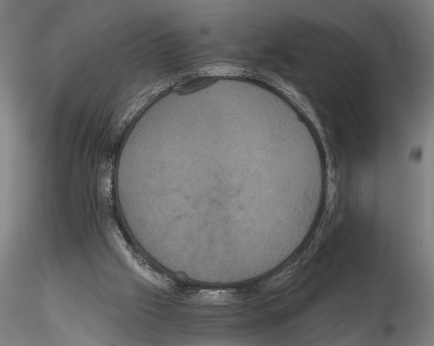 X0000114640057200912011058