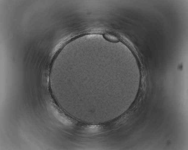 X0000114640059200912011058