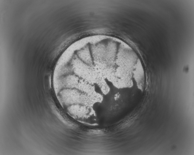 X0000114640061200912011058