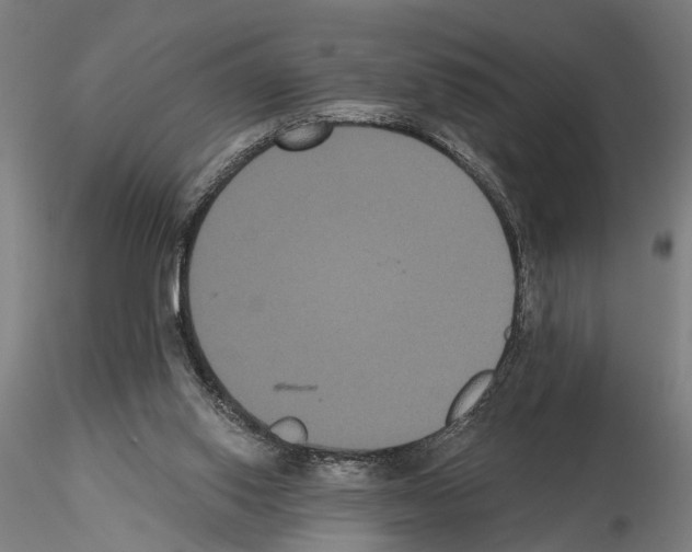 X0000114640062200912011058