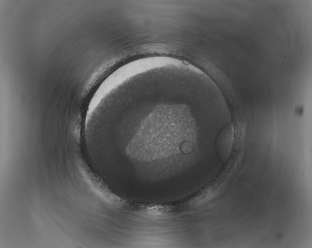 X0000114640064200912011058