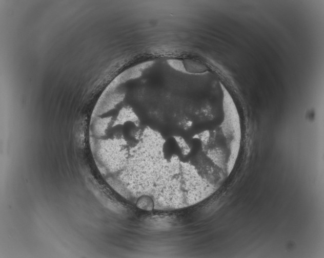 X0000114640065200912011058