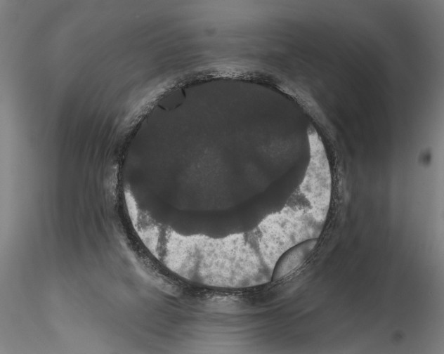 X0000114640066200912011058