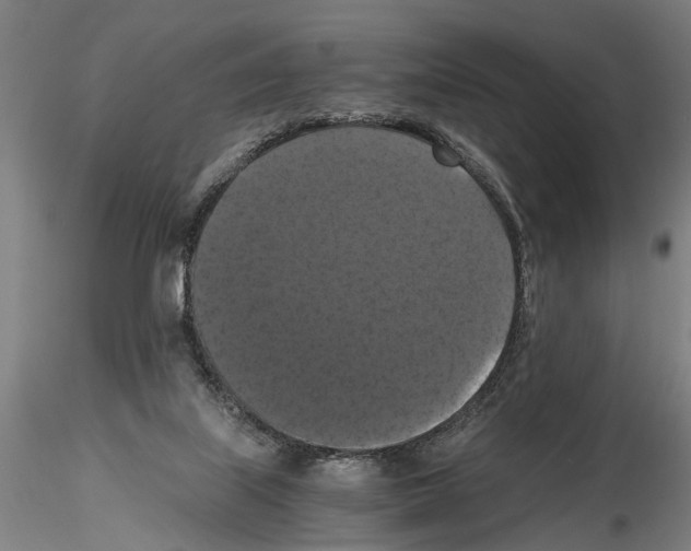 X0000114640067200912011058