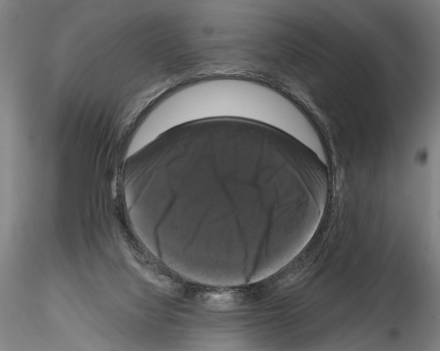 X0000114640068200912011058