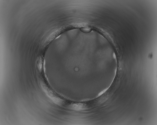 X0000114640069200912011058