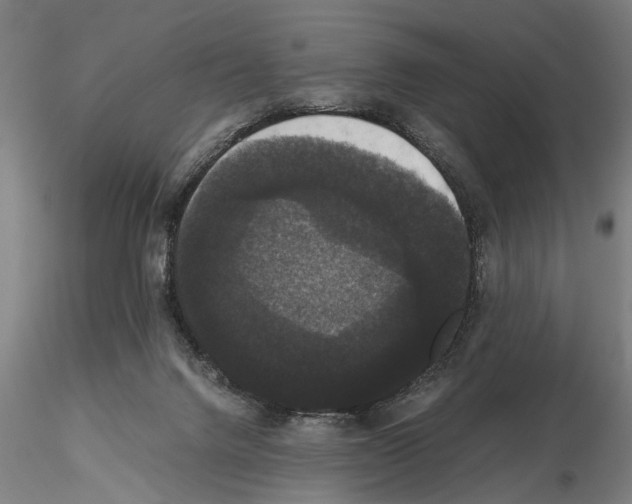 X0000114640072200912011058