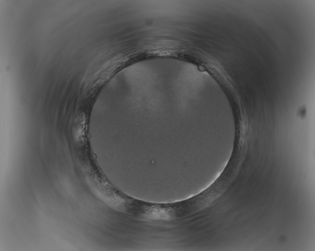 X0000114640073200912011058