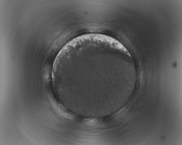 X0000114640074200912011058