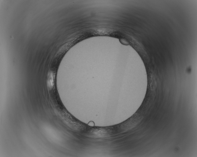 X0000114640075200912011058