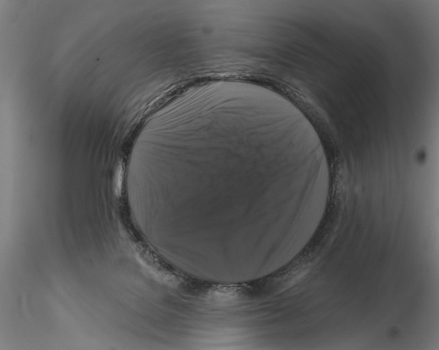 X0000114640076200912011058