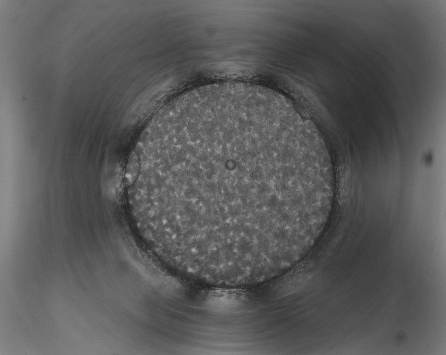 X0000114640077200912011058