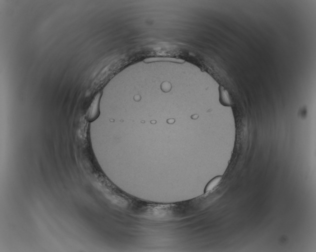 X0000114640078200912011058