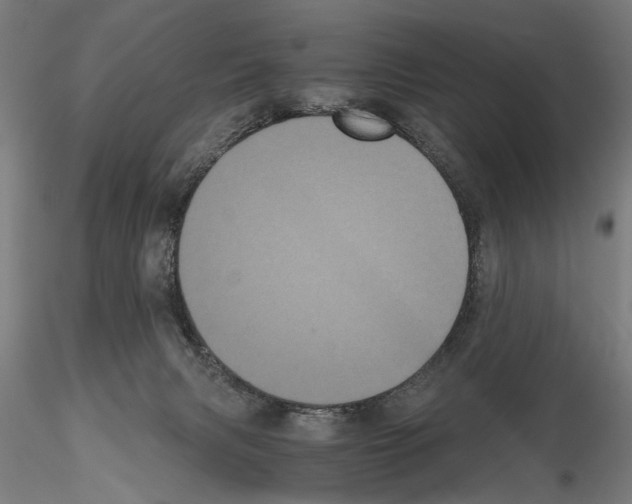 X0000114640079200912011058