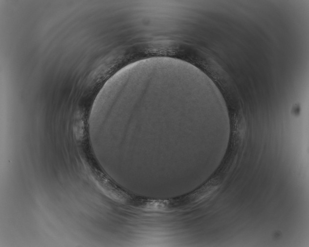 X0000114640080200912011058