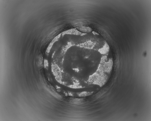 X0000114640081200912011058