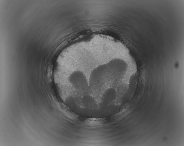 X0000114640082200912011058