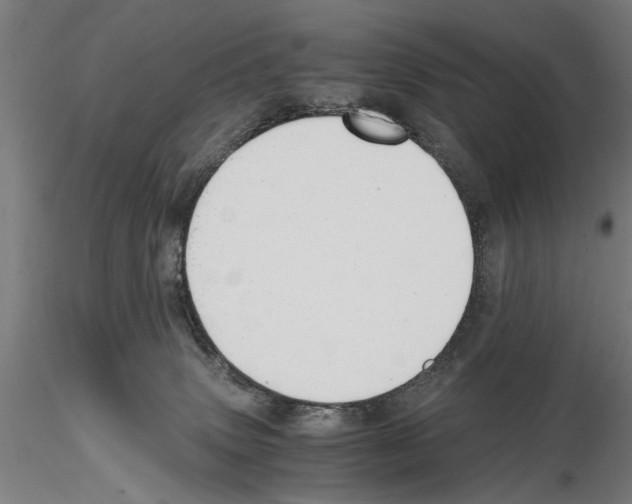 X0000114640083200912011058