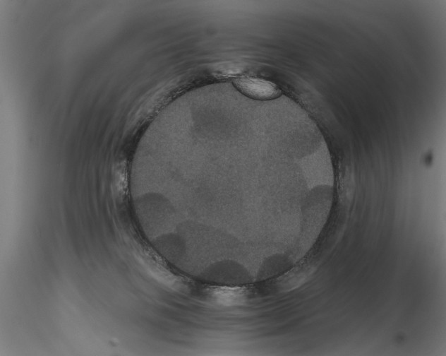 X0000114640085200912011058