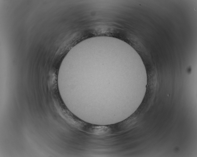 X0000114640087200912011058