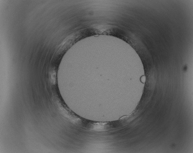 X0000114640090200912011058