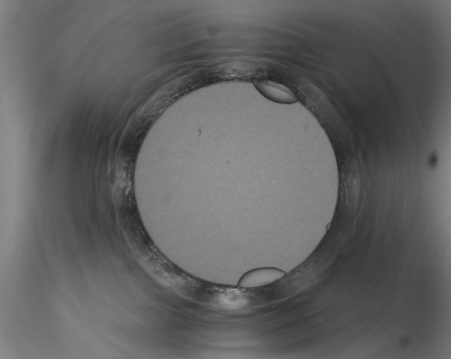 X0000114640091200912011058