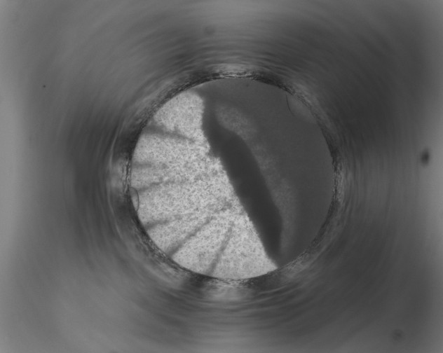 X0000114640093200912011059