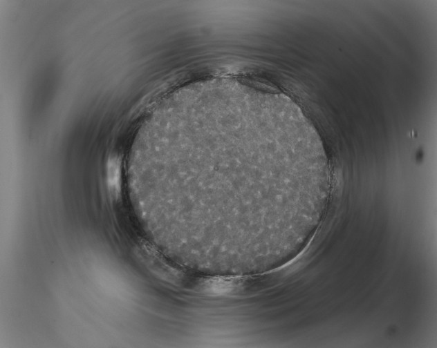 X0000114640094200912011059