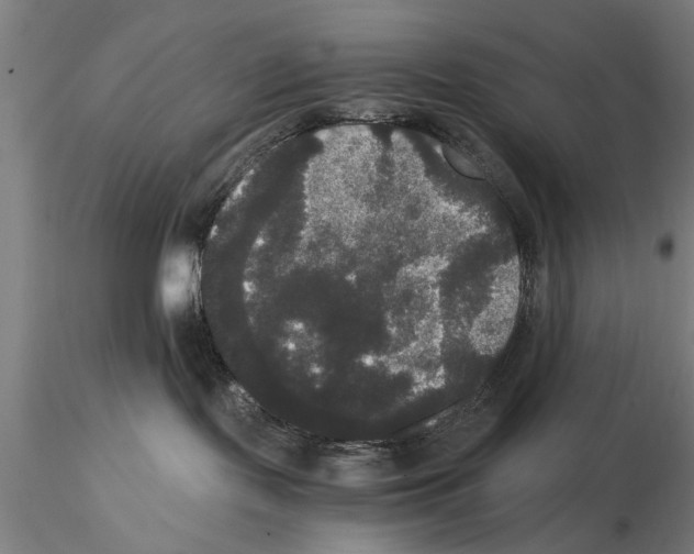 X0000114640095200912011059