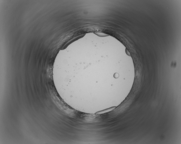 X0000114640096200912011059