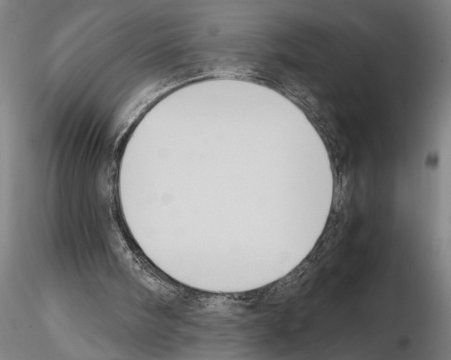 X0000114640098200912011058