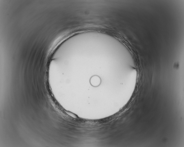 X0000114640101200912011058