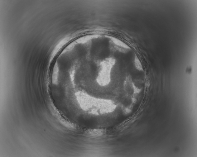 X0000114640102200912011058