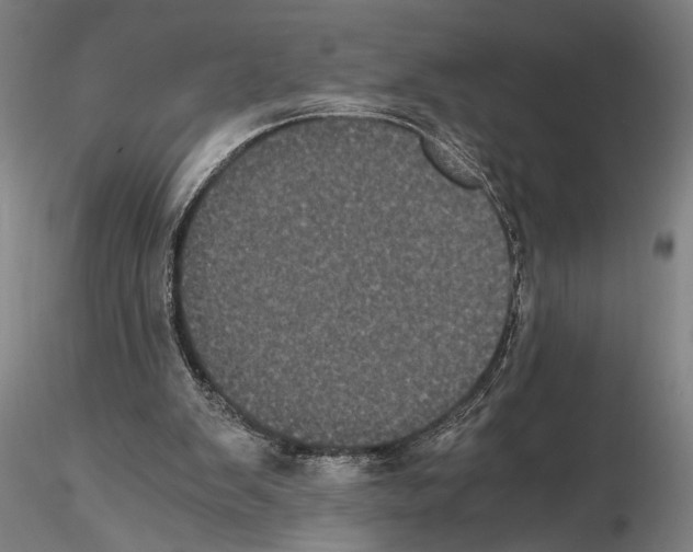 X0000114640103200912011058