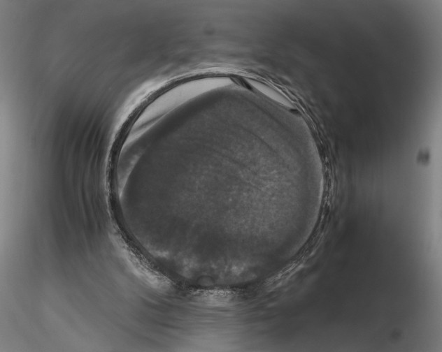 X0000114640104200912011058