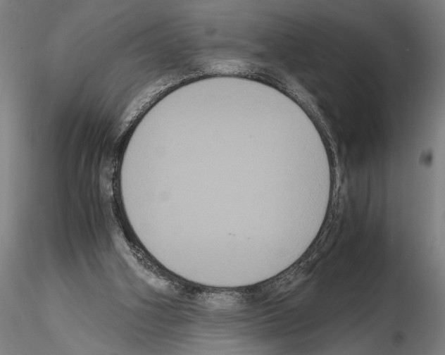 X0000114640106200912011058