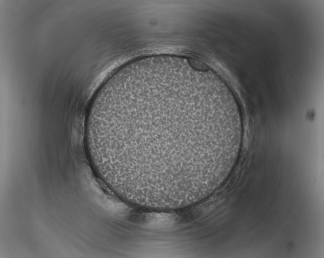 X0000114640107200912011058