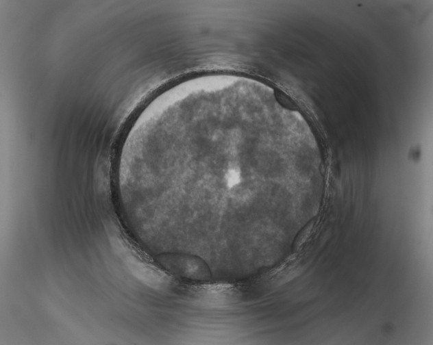 X0000114640108200912011058