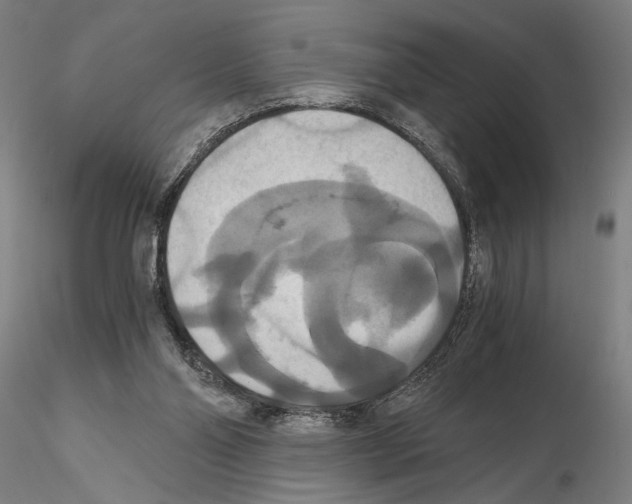 X0000114640110200912011058