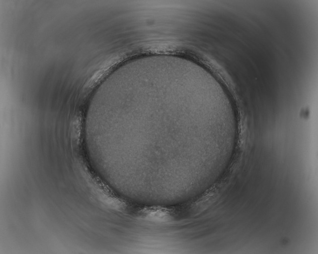 X0000114640113200912011057